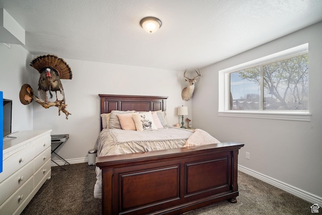 537 E 650 N, Roosevelt, UT 84066 - bedroom with baseboards and dark carpet