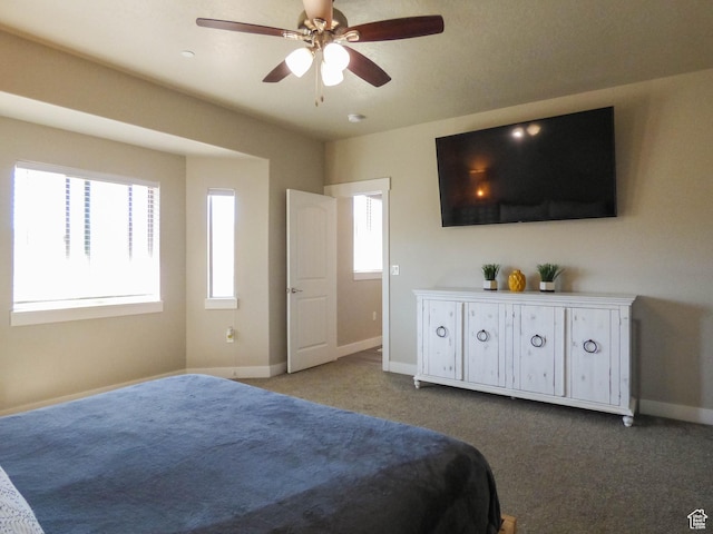 4718 E Cougar Run S, Ut, UT 84629 - bedroom with ceiling fan, carpet, and baseboards