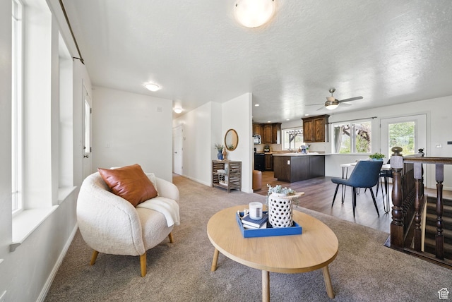 428 N 100 W, Santaquin, UT 84655 - living area with a textured ceiling, a ceiling fan, and baseboards