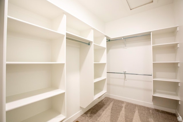 1169 N 200 E, Nephi, UT 84648 - walk in closet with attic access and carpet floors