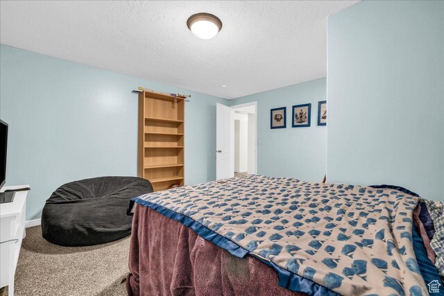 6636 Scarsborough Ln S, West Jordan, UT 84084 - photo 16