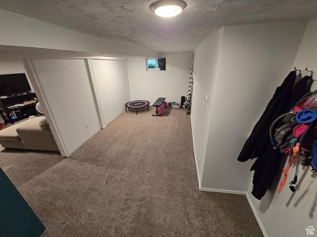 5841 S 129 W, Murray, UT 84107 - interior space with carpet flooring and a textured ceiling