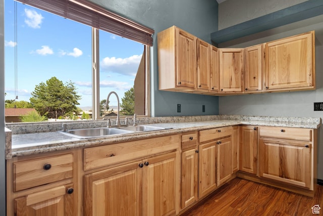 kitchen with light brown cabinetry, a sink, and dark wood-type flooring