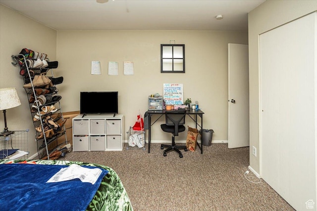556 W 800 N Unit 15, Provo, UT 84601 - bedroom featuring carpet flooring