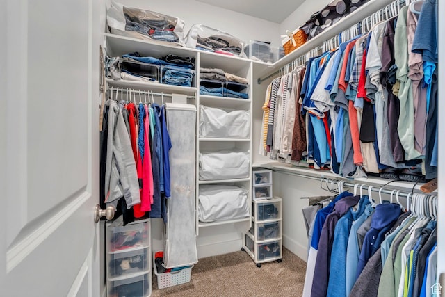 3498 N Delta St, Eagle Mountain, UT 84005 - walk in closet featuring carpet flooring
