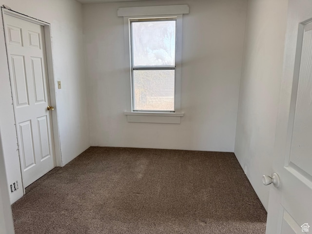 carpeted spare room with a wealth of natural light