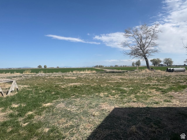 view of yard featuring a rural view