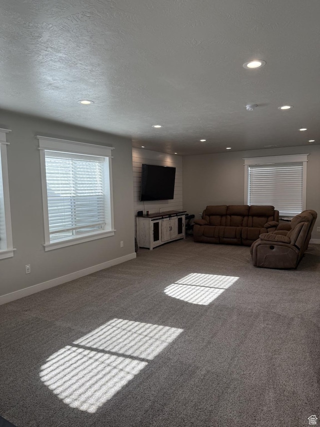 13952 S Indian Ln E, Herriman, UT 84096 - living area with carpet, recessed lighting, baseboards, and a textured ceiling