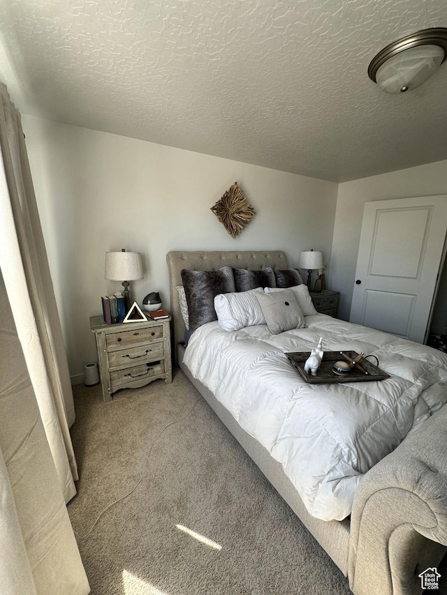 12975 S Spook Gulch Ct Unit 621, Riverton, UT 84096 - bedroom featuring carpet floors and a textured ceiling