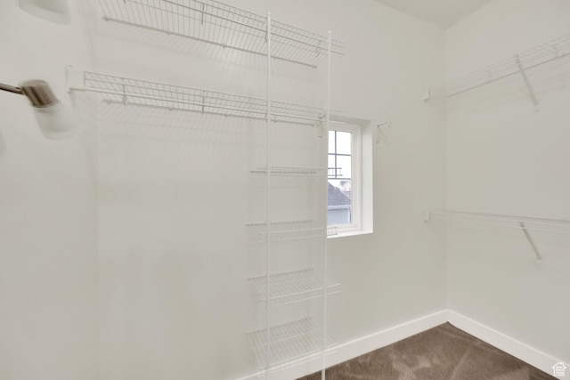 5103 W S Jordan Pkwy, South Jordan, UT 84009 - walk in closet featuring dark carpet