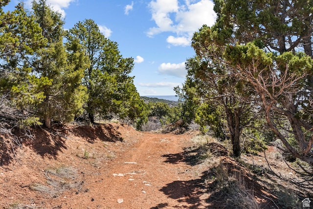 46997 W Thunder Ridge Rd, Fruitland, UT 84027 - view of local wilderness