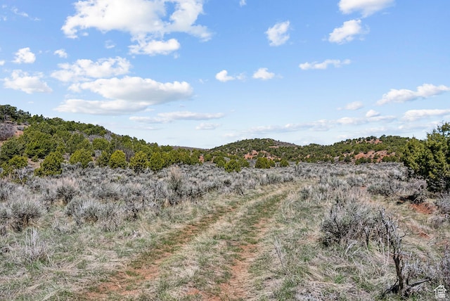 46997 W Thunder Ridge Rd, Fruitland, UT 84027 - view of landscape