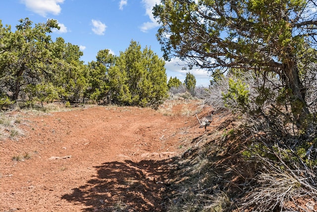 46997 W Thunder Ridge Rd, Fruitland, UT 84027 - view of local wilderness