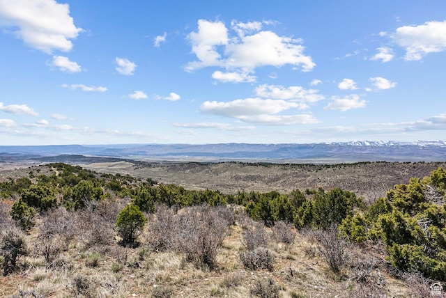 46997 W Thunder Ridge Rd, Fruitland, UT 84027 - property view of mountains