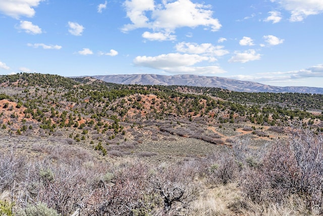 46997 W Thunder Ridge Rd, Fruitland, UT 84027 - view of mountain feature