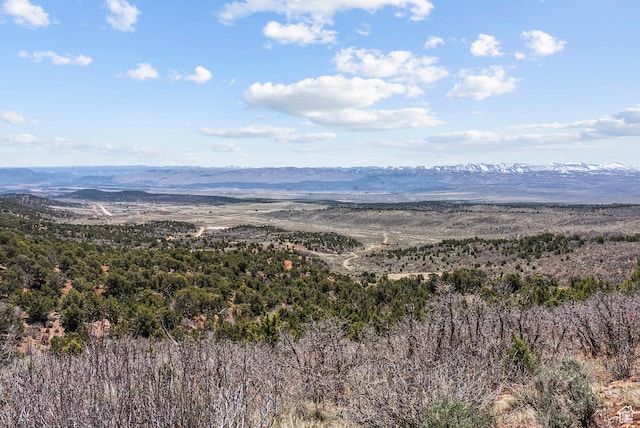46997 W Thunder Ridge Rd, Fruitland, UT 84027 - mountain view