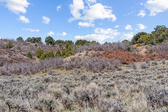 46997 W Thunder Ridge Rd, Fruitland, UT 84027 - view of local wilderness