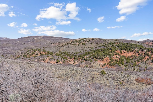 46997 W Thunder Ridge Rd, Fruitland, UT 84027 - property view of mountains