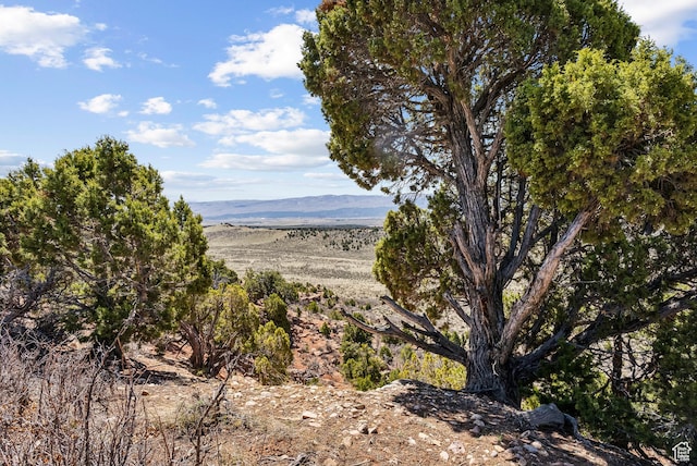 46997 W Thunder Ridge Rd, Fruitland, UT 84027 - mountain view