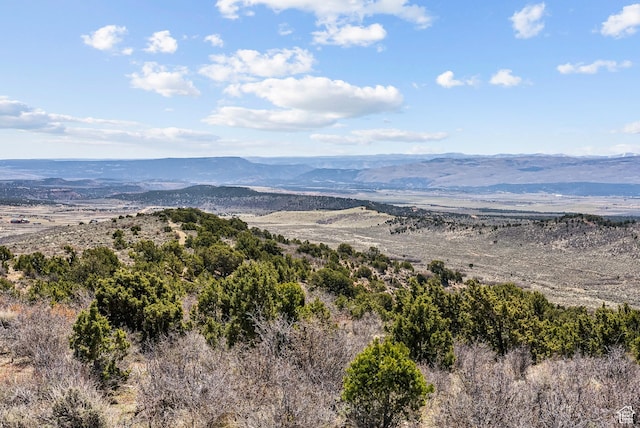 46997 W Thunder Ridge Rd, Fruitland, UT 84027 - mountain view