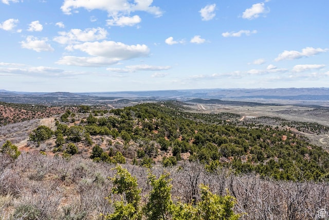 46997 W Thunder Ridge Rd, Fruitland, UT 84027 - aerial view featuring a mountain view