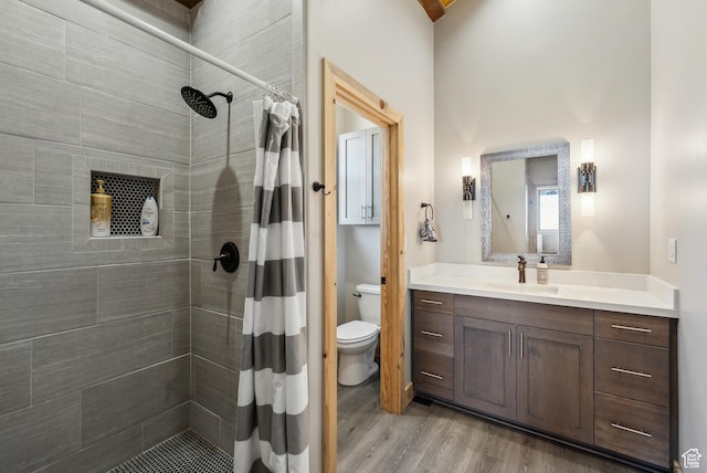 46997 W Thunder Ridge Rd, Fruitland, UT 84027 - bathroom featuring wood finished floors, toilet, vanity, and tiled shower