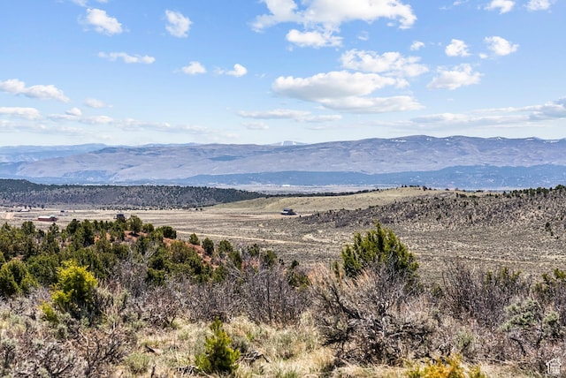 46997 W Thunder Ridge Rd, Fruitland, UT 84027 - mountain view