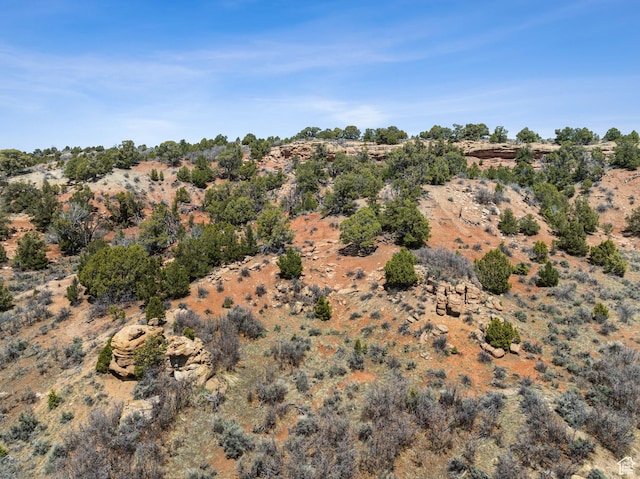 46997 W Thunder Ridge Rd, Fruitland, UT 84027 - view of landscape featuring view of desert