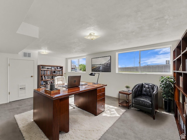 8323 S Adams St, Midvale, UT 84047 - home office with carpet flooring