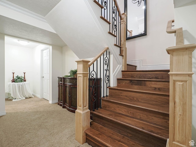 stairs featuring carpet and baseboards