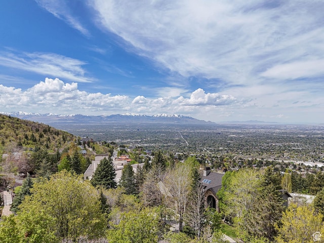 view of mountain feature