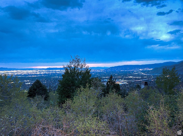 mountain view