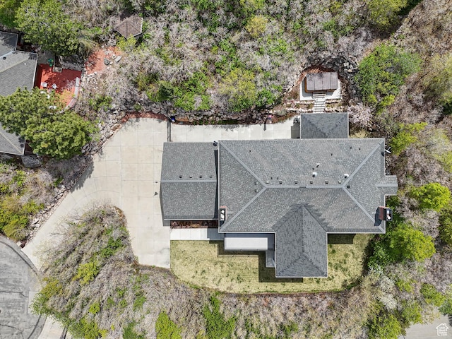 drone / aerial view