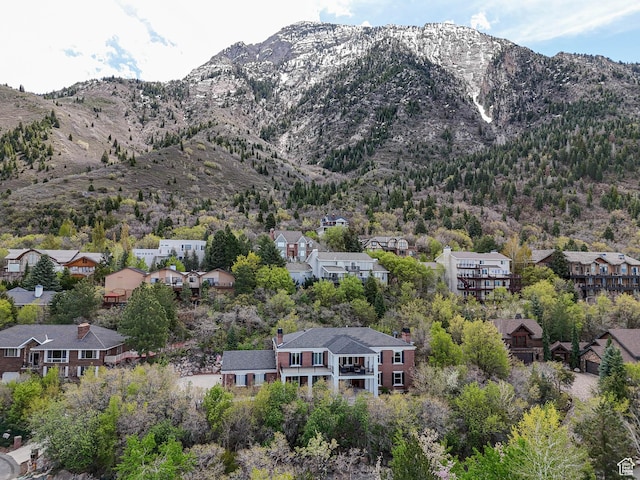 mountain view
