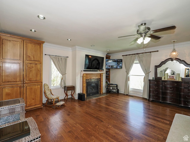 living area with a healthy amount of sunlight, a ceiling fan, a premium fireplace, and dark wood finished floors