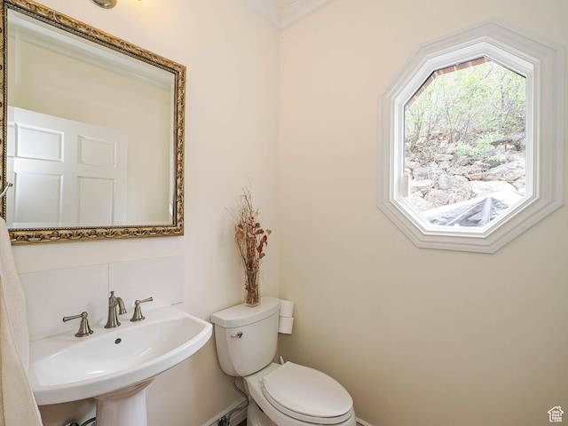 bathroom with toilet, crown molding, and a sink