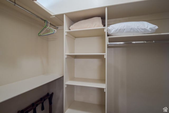 3686 S Spanish Valley Dr Unit W-4, Moab, UT 84532 - view of walk in closet