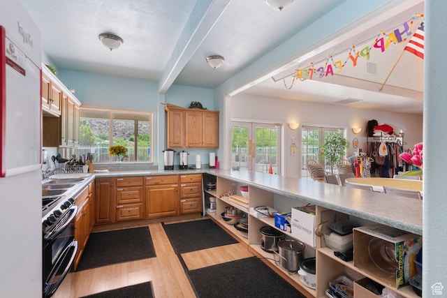 54 Cottonwood Ln, Hurricane, UT 84737 - kitchen with range with two ovens, a wealth of natural light, light wood-style flooring, and a sink