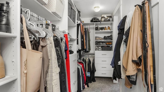 5394 W Shaggy Peak Dr, Riverton, UT 84096 - walk in closet featuring carpet flooring