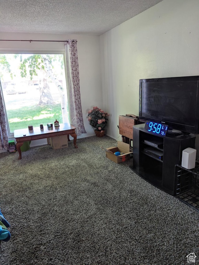 3937 S Lamplighter Way Unit 23, Riverdale, UT 84405 - carpeted living room featuring a textured ceiling