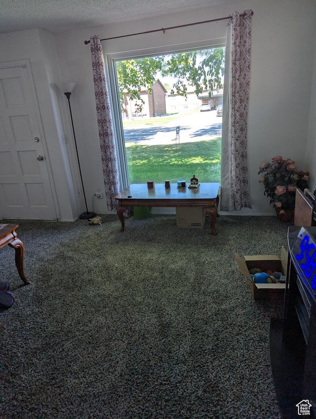3937 S Lamplighter Way Unit 23, Riverdale, UT 84405 - playroom featuring healthy amount of natural light, carpet floors, and a textured ceiling