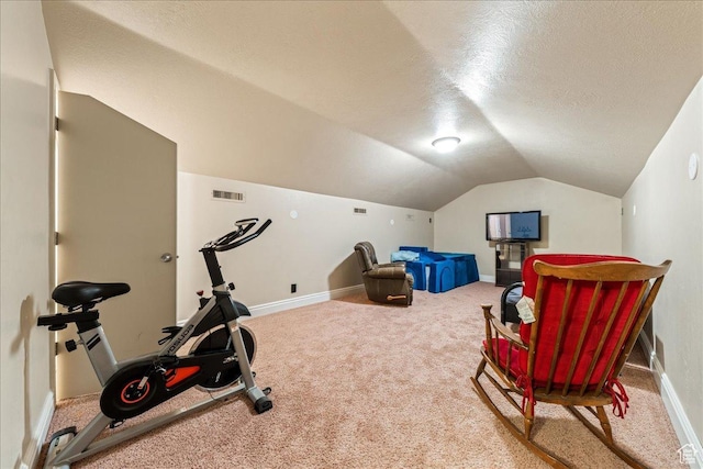 388 E 1060 S, Ivins, UT 84738 - exercise room with visible vents, carpet, baseboards, a textured ceiling, and lofted ceiling