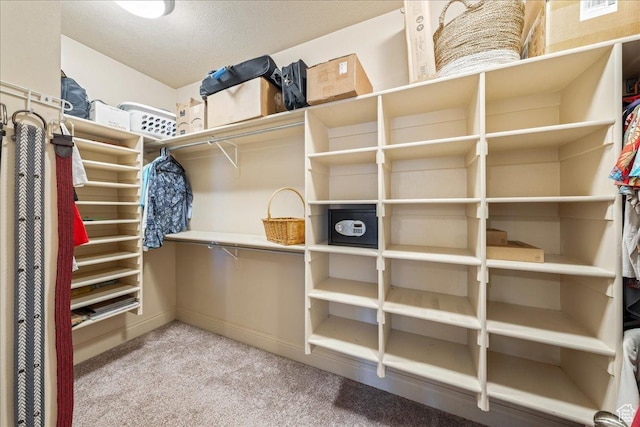388 E 1060 S, Ivins, UT 84738 - spacious closet featuring light colored carpet