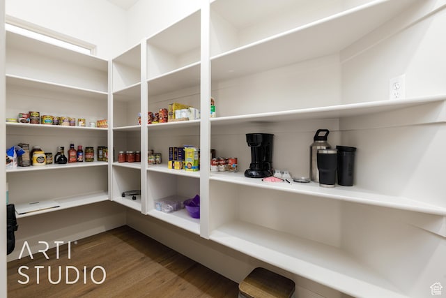 309 W Blue Quartz Dr, Washington, UT 84780 - view of pantry