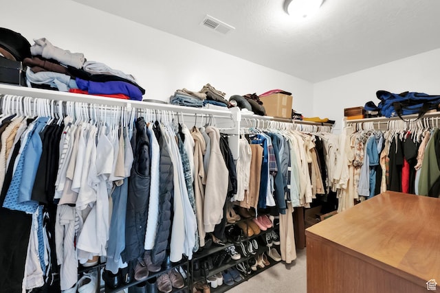 315 W 910 S, American Fork, UT 84003 - spacious closet with visible vents and carpet floors