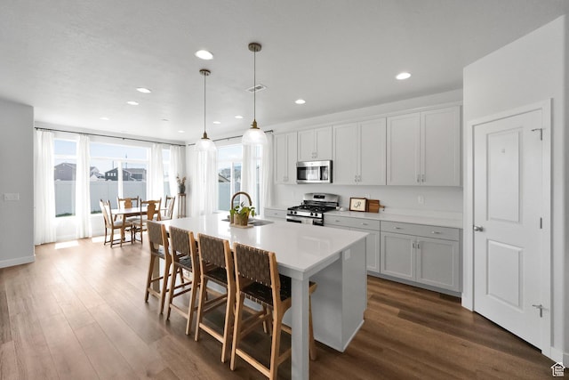 315 W 910 S, American Fork, UT 84003 - kitchen featuring stainless steel appliances, an island with sink, wood finished floors, and a sink