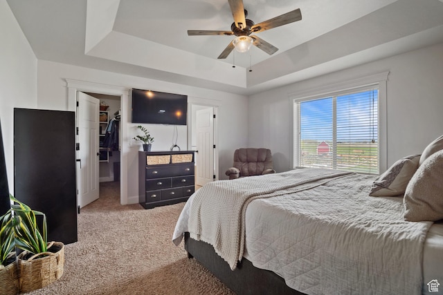 9457 N 4800 W, Elwood, UT 84337 - bedroom featuring a ceiling fan, carpet flooring, a spacious closet, and a tray ceiling