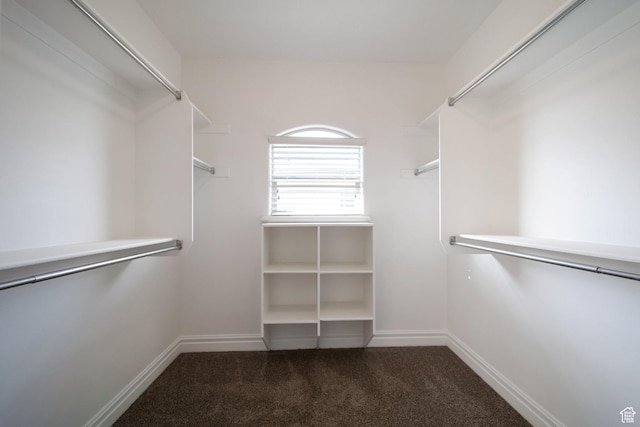 10252 S 3570 W, South Jordan, UT 84095 - spacious closet with carpet