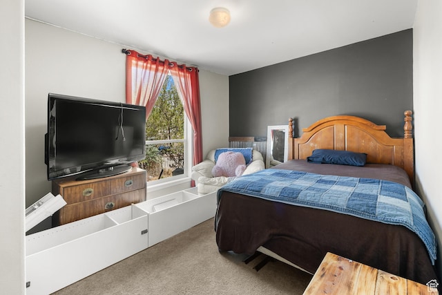 4147 S Spanish Valley Dr, Moab, UT 84532 - bedroom featuring carpet floors