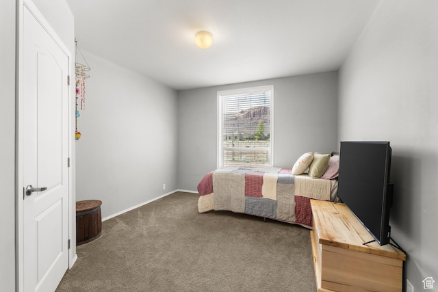4147 S Spanish Valley Dr, Moab, UT 84532 - carpeted bedroom featuring baseboards